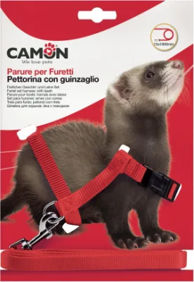 Camon Pavada - iemaukti seskam 15x1800mm