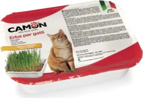 Zāle kaķiem ar miežu sēklām