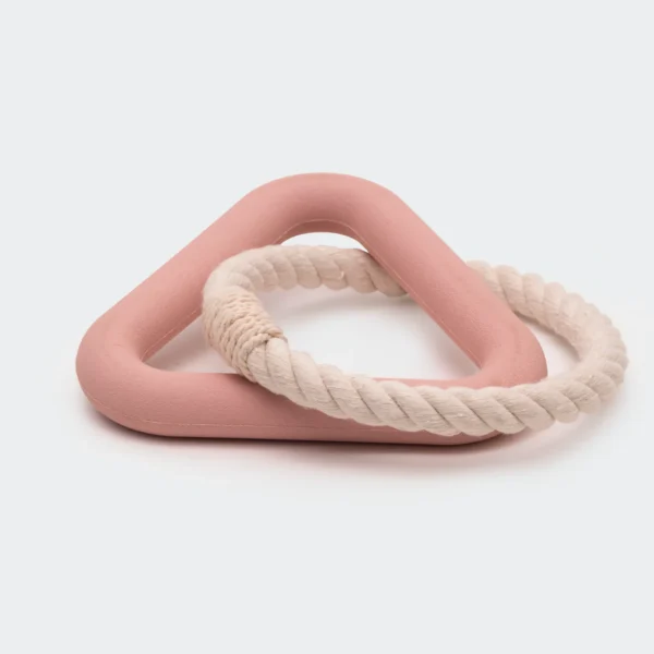 Trijstūrveida rotaļlieta suņiem