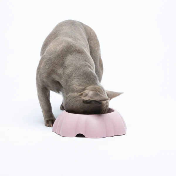 Zieda formas bļodas