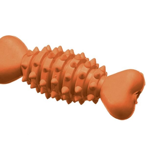 Rotaļlieta – kauls ar radziņiem